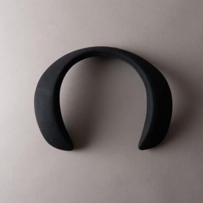 Bose 771420-0010 SoundWear Companion Speaker - Black 17817783538| eBay