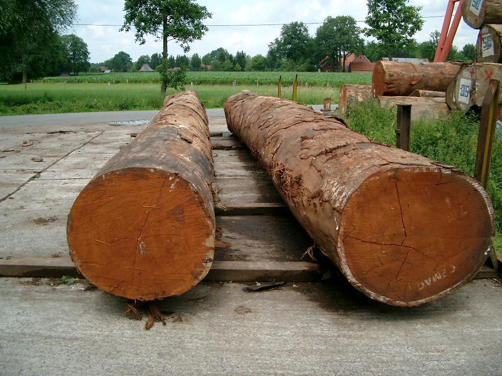 SPECIAL: TWO KILN DRIED THICK 8/4 AFRICAN MAHOGANY LUMBER WOOD ~19