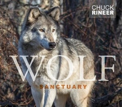 Chuck Rineer Wolf Sanctuary (Hardback) (UK IMPORT)