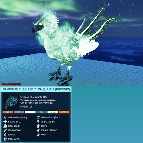 Phoenix Clones - Multi Colours - Ark Survival Ascended Crossplay PVE - Picture 6 of 12