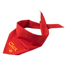 Hundehalstuch Name Pfote Herz bedruckt 18 Farben Hund Tuch individuell Wunsch