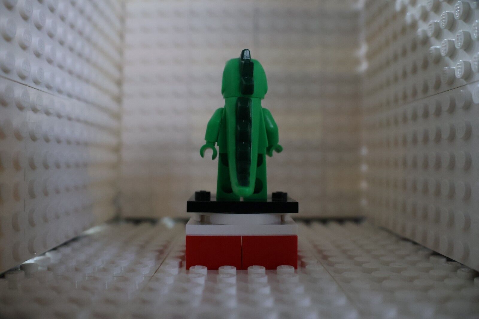 Photo 195/331