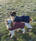 Bild 7 von 12