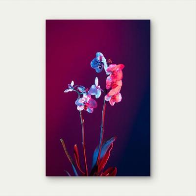 Orchid Flower Against Gradient Background Metal Print Ready to Hang