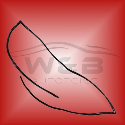 Rahmen für Frontscheibe OPEL ZAFIRA B BJ:05-14 Gummi Dichtung Windschutzscheibe