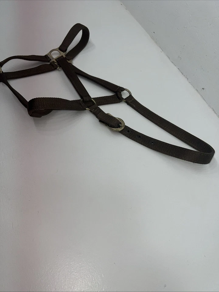 New Brown Nylon Full Horse Halter Gold Buckles NN-600 - Image 3 of 4
