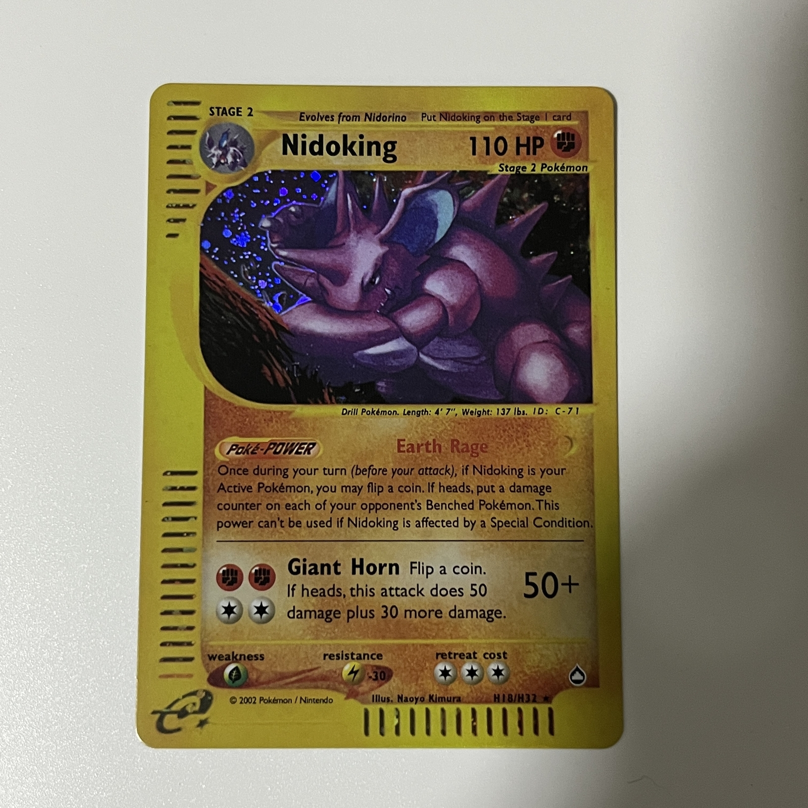 CUSTOM|Nidoking|Foil|English|DIY DisplayONLY e-Reader #2