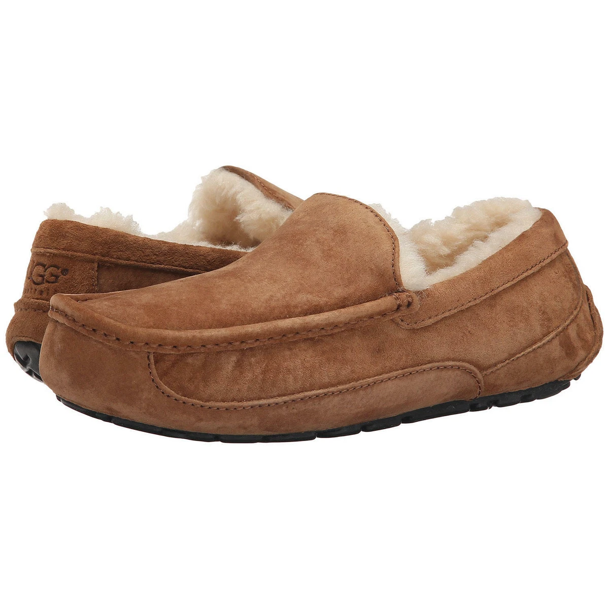 Ugg mascot cheap