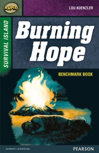 Rapid Stage 9 Assessment Book Burning