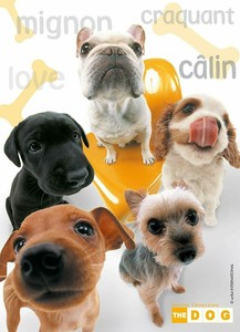 Ravensburger 300 Piece Jigsaw Puzzle The Dog Family One Piece Missing Ebay