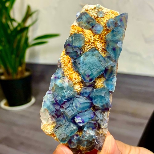 155G Rare transparent blue purple cubic fluorite mineral crystal sample/China - Picture 13 of 24