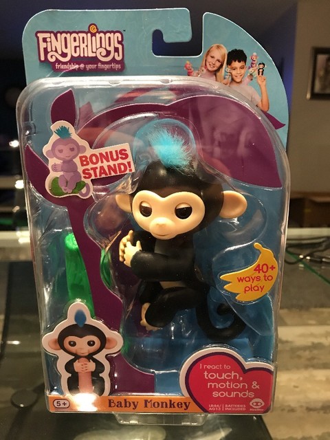 black fingerling monkey