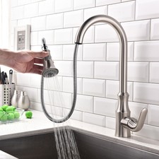 Water Ridge Patrician Series Kitchen Faucet Brushed Nickel For