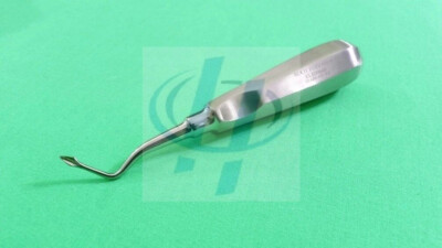French Steel Passivated Dental Extracting Spade Bernard Root Tip Elevator Right