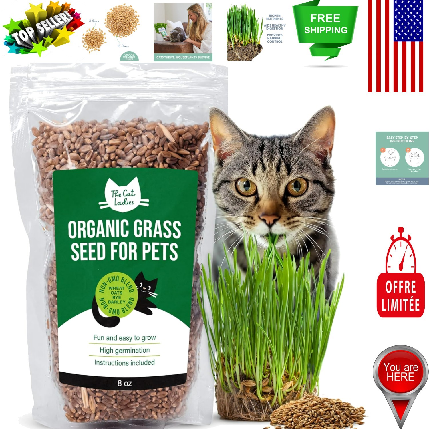 Non-GMO Cat Grass Seeds - 100% Organic & Nutrient-Rich for Healthy Cats, 8 oz