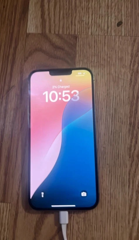 苹果iPhone 13 Pro Max 256gb | eBay