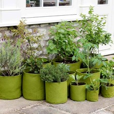 Haxnicks Vigoroot Planter That Supports Larger, Healthier Plant Growth