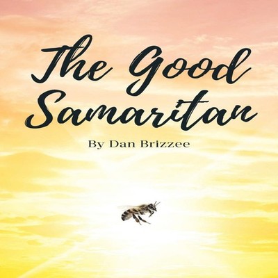 The Good Samaritan BrizzeeDan Paperback Publishing Services Conso