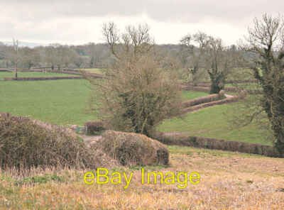Foto 6x4 2008 : Due South to Great Elm Bedlam\/ST7549 A angenehmer Spaziergang, n c2008