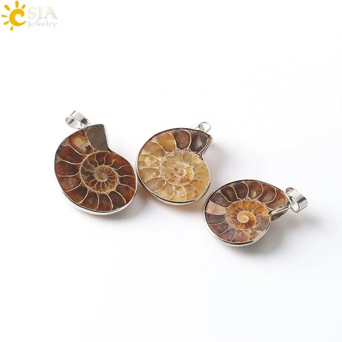 Natural Stones Pendants Ammonite Seashell Snail Ocean Reliquiae Conch Necklace - Picture 6 of 26