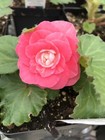 Foto 4 di 5