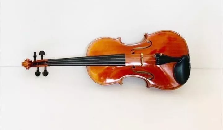 Violin Suzuki No.540 4/4 Size Made in 1980 with Hard Case