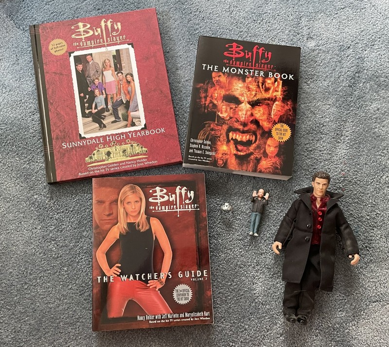 Buffy The Vampire Slayer Books + Angel Action Figure david boreanaz