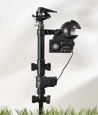 Orbit 62100 Yard Enforcer Activated Sprinkler - Black