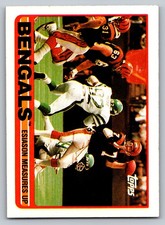 Click to enlarge Bengals Team Leaders (Esiason Measures Up)