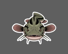 Flathead Catfish Sticker Animal Fish Outdoor Wildlife Nature Gift Waterproof NEW