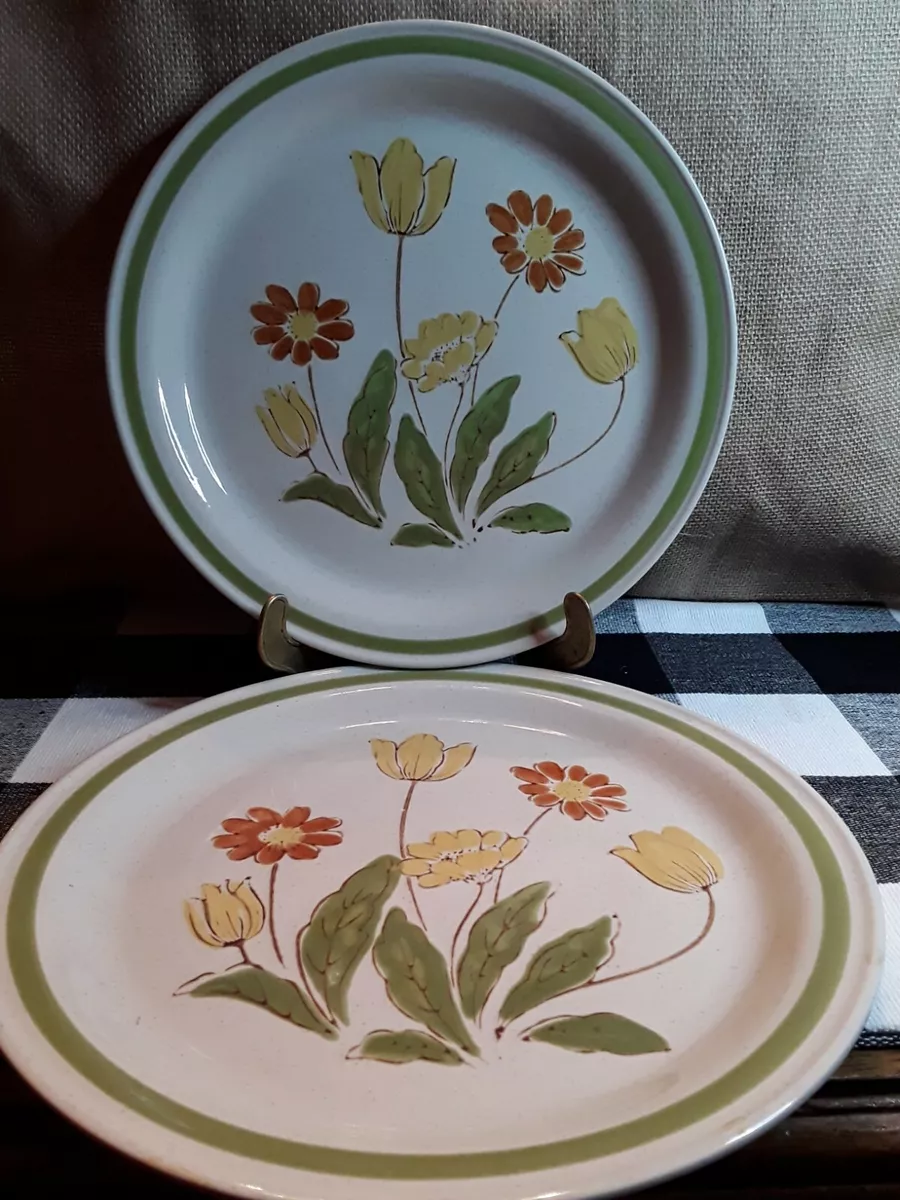 Casual dinner clearance plates