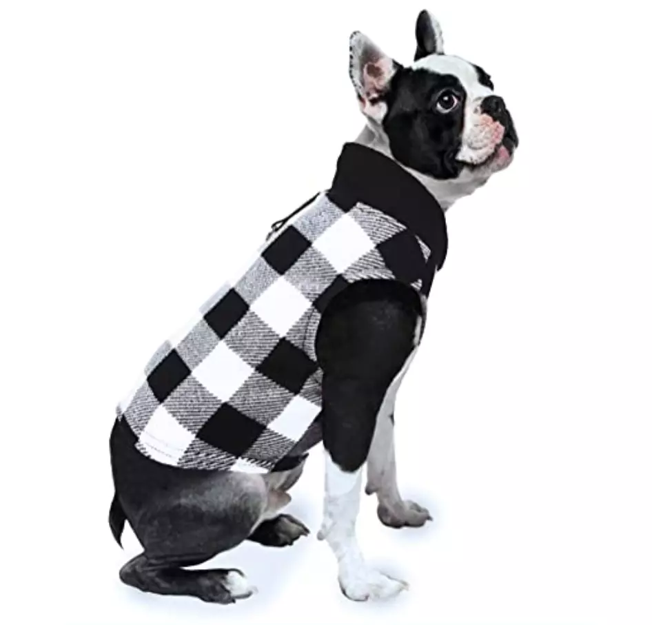 Small hotsell dog vest