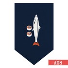 Bild 16 von 20