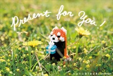 nanoblock Post Card Red Panda multipurpose japan import From Japan