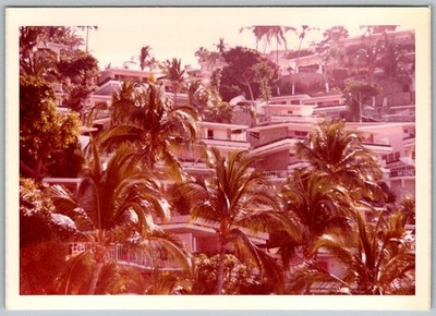 Vtg Color Snapshot Tropical Hillside Resort Palm Trees Modernist Hotel 1970s