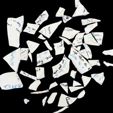 Plate of Shattered Dreams Ceramic Plate Shards with Inscribed Apology Note Vinta
