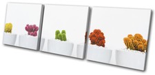 Cactus Modern Minimal Nature Floral TREBLE CANVAS WALL ART Picture Print