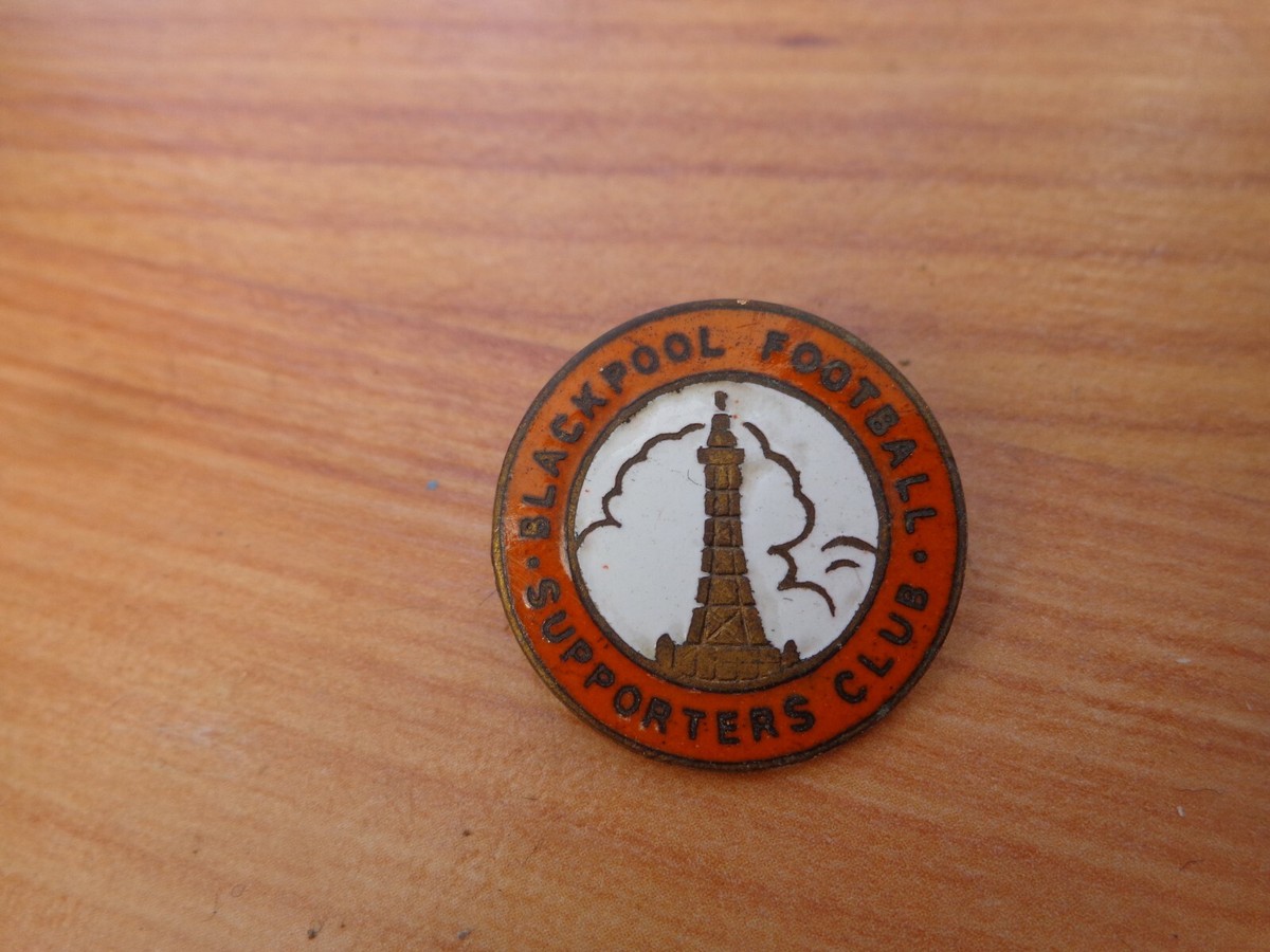 JOLIE INSIGNE ÉPINGLE Badge émaillé Blason Héraldique CONCARNEAU Fleurs