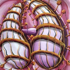 Quadro surrealista originale 23 x23” acrilico su tela,firmato,COA,carità