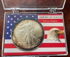 2002 American Silver Eagle $1 Coin 1 oz .999 Fine Silver Toned BU Uncleaned