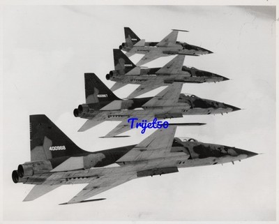 10x8 s/w Foto F-5E Formation Republik China (Taiwan) mit US Style Serien