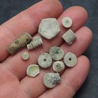 Crinoide sp. Carboniferous Fossil Natural Fossils Echinoderms Texas USA