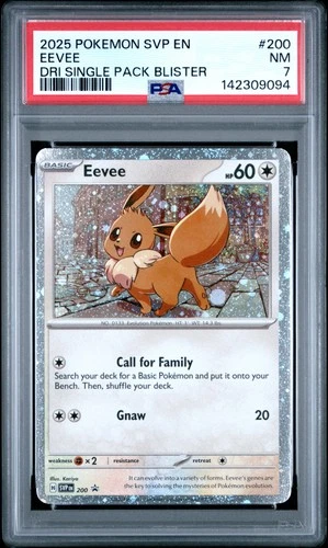 2025 POKEMON SVP EN-SV BLACK STAR PROMO #200 EEVEE PSA 7