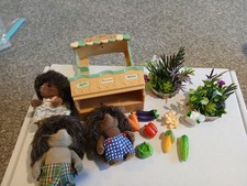 Sylvanian Families. Farm Shop With  Hedgehogs. Extra Flowers.