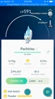 ? AMAZING REGIONAL PACHIRISU!!! ? - PKMN GO!!! - INSTANT TRADE 20k!