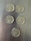 VINTAGE Coin Lot of 5  Buffalo Nickels 1920's & 1930's FAST SHIPPING