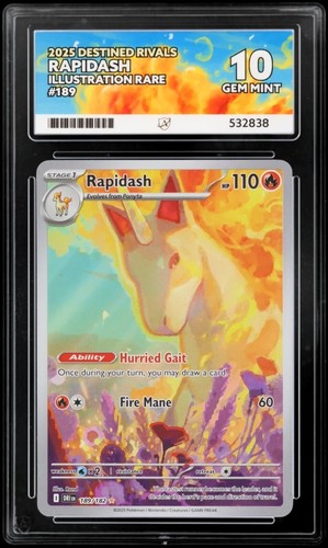 Rapidash graded ACE 10 for sale on eBay