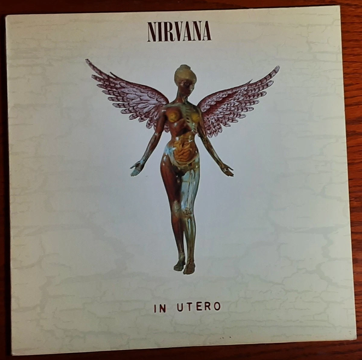 Nirvana Indiana Utero Indiana Vinyl Records for sale - eBay