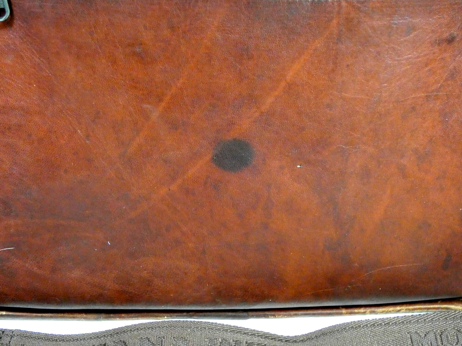 Picture 11 of 11