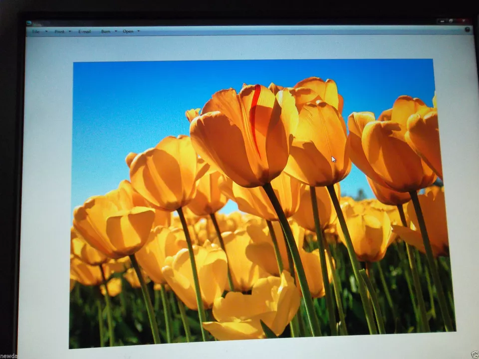 Dell 2007WFP 20" UltraSharp LCD Monitor w/4-Port USB Hub VGA DVI S-Video HF730 - Image 2 of 4